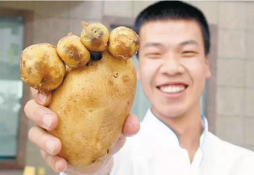 熊掌土豆，大補(bǔ)啊！