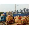 滕州豐榮農(nóng)業(yè)大量供應荷蘭十五