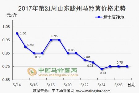 土豆行情持續(xù)推進(jìn) 價格波動不明顯 ()