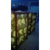 出售庫存袋裝荷蘭十五