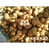 出售庫內荷蘭15土豆！30萬斤