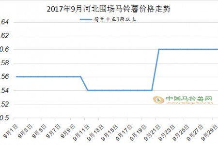 行情以穩為主，8月又當如何 ()