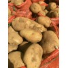 本人大量供應麗薯六號土豆種子以及商品薯