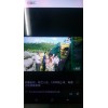 大量供應荷蘭十五系列