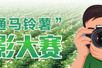 “昭通馬鈴薯”攝影大賽面向全國征集攝影作品，最高獎勵20000元！ ()