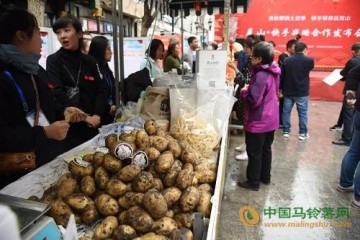 互聯網助銷克山縣馬鈴薯 ()