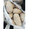 青薯九號供應