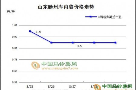 薯市成交清淡 行情持續偏弱 ()