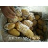 供應(yīng)肥城冷庫(kù)土豆