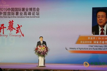 北京舉辦2019國際薯業博覽會 ()