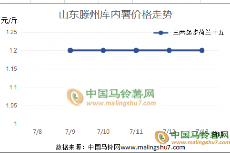 山東產區入庫結束   西北新薯集中上市 ()