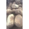 v7，8號開圈。歡迎各位老板前來看貨定價。