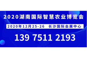 2020湖南長沙智慧交流會(huì)