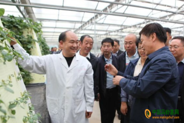 院士專家呂梁行 考察馬鈴薯產業(yè)發(fā)展 ()