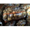 大量供應庫存華頌7號商品薯（硬3兩起步）