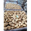 大量出售荷蘭黃皮黃心土豆，市場大貨、出口小貨，規格齊