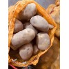 大量貨源，質(zhì)量保證，需要的老板聯(lián)系