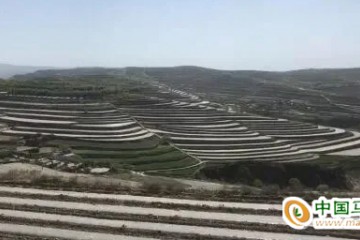 會寧：打造百萬畝馬鈴薯綠色標準化規模種植基地 ()