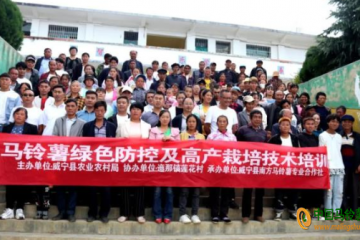 威寧：舉行馬鈴薯綠色防控和高產栽培技術培訓暨臨田測產現場觀摩 ()