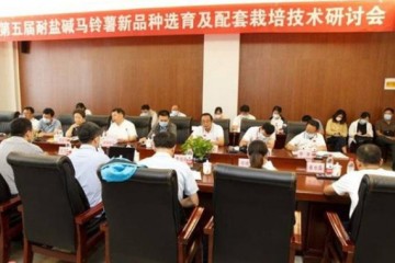 商都：舉辦第五屆國際耐鹽堿馬鈴薯育種及栽培技術研討會 ()
