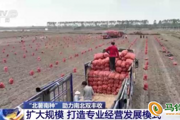 “北薯南種”打通致富產業鏈 ()