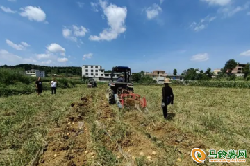 黔西市：小農機助推馬鈴薯豐收